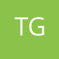 Tea Gongadze